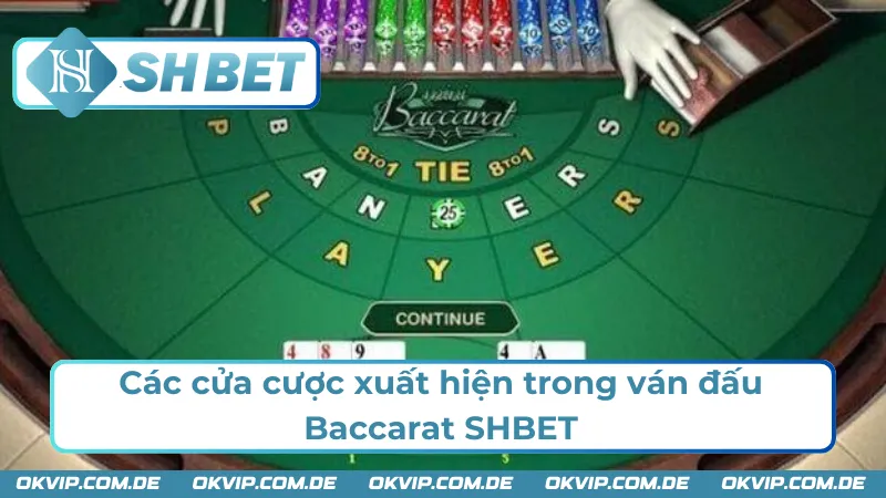 Những cửa cược thường gặp trong Baccarat 