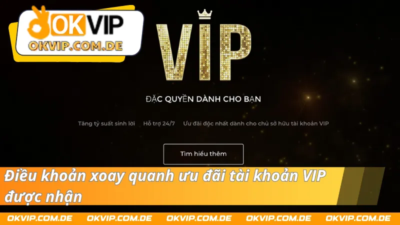 Những điều khoản sử dụng ưu đãi của thành viên VIP