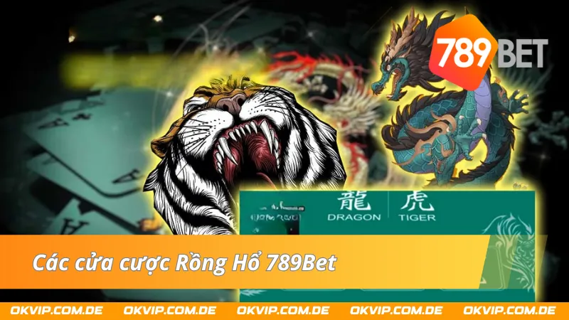 Chi tiết về quy định áp dụng với các loại cược Rồng Hổ tại 789Bet