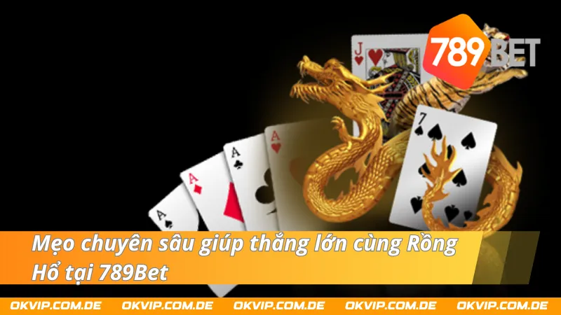 Mẹo cải thiện tỷ lệ thắng khi trải nghiệm Rồng Hổ 789Bet