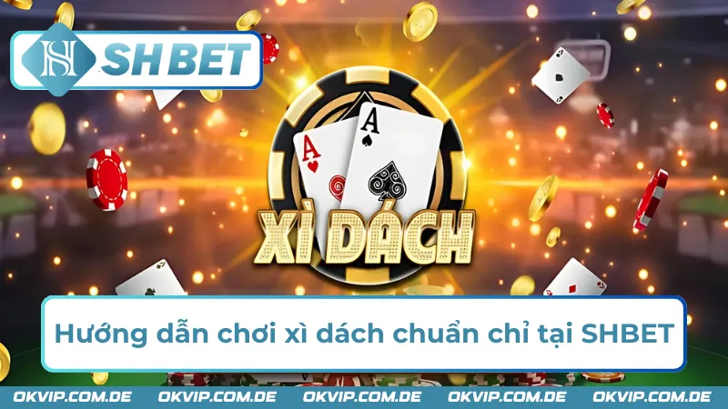 Chi tiết về cách chơi xì dách chuẩn chỉ tại nhà cái SHBET