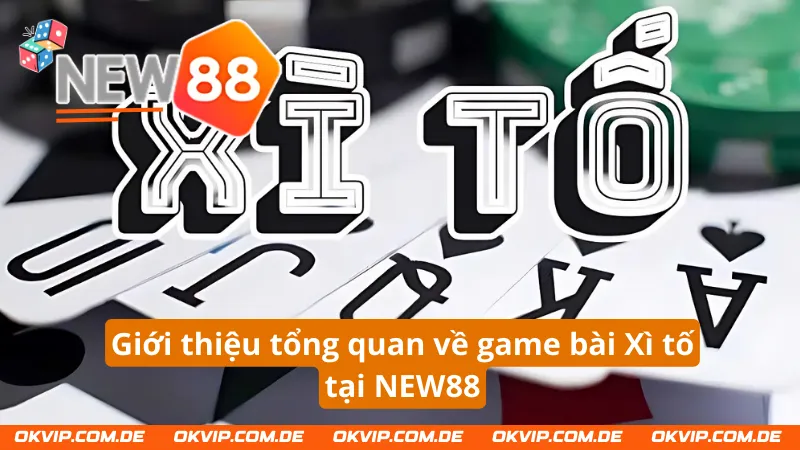 Giới thiệu tổng quan về game bài Xì tố NEW88