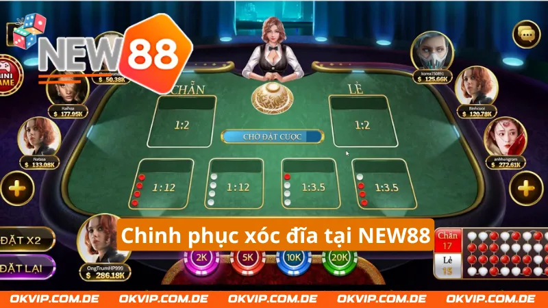 Chiến lược bất bại trong xóc đĩa NEW88