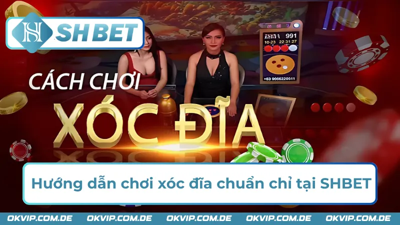 Chi tiết về cách chơi xóc đĩa chuẩn chỉ tại nhà cái SHBET